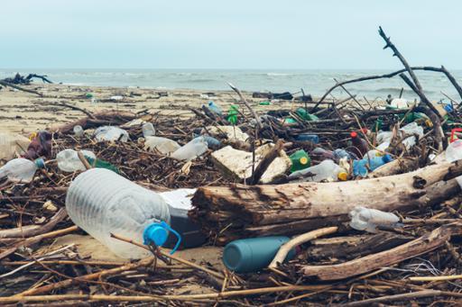 Litter on an urban beach